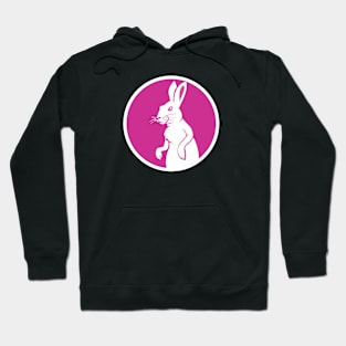 Easter Bunny in Circle Hoodie